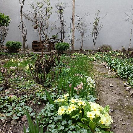 Appartement Piata Muzeului 1 à Cluj-Napoca Extérieur photo