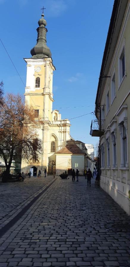 Appartement Piata Muzeului 1 à Cluj-Napoca Extérieur photo